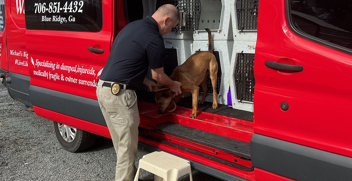 Animal Control Officer Luke McDonald is pictured loading the last dog for the transport from Blue Ridge to the Humane Society in Florida.