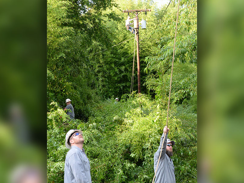 Someone is always looking up for safety when power is restored. Here, front to back, Sterling Callihan, Nic Fowler, Wesley Jones, Travis Sisson, and Darrin Queen work off Blue Ridge Drive in McCaysville.