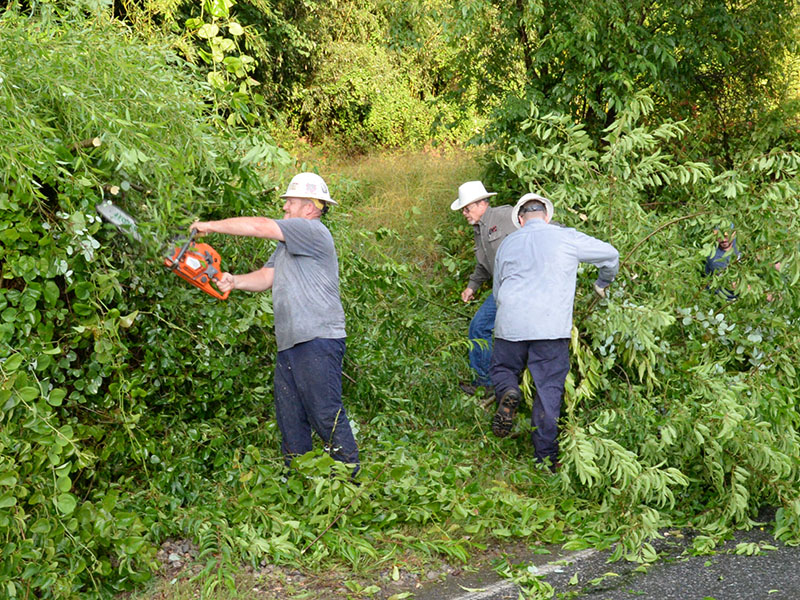 Wesley Jones, from left, Rodney Patterson and Sterling Callihan finish clearing a path between two power poles Sunday. One was on the side of Blue Ridge drive, but the other was deep behind a wall of brush and small trees, and up the hill.