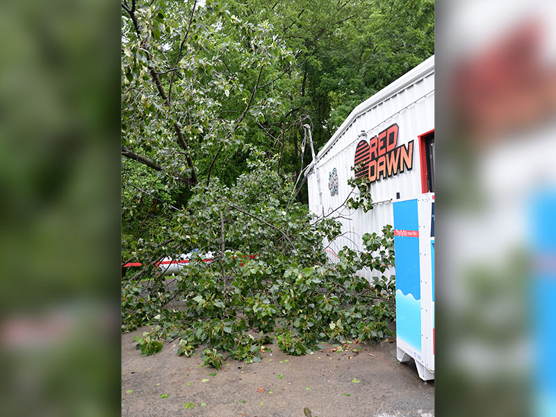 The Quick Pick in McCaysville lost power Sunday afternoon after a tree fell across its power line, but thankfully missed the building. Tri-State EMC crews worked to restore power to prevent damage to the store’s merchandise.