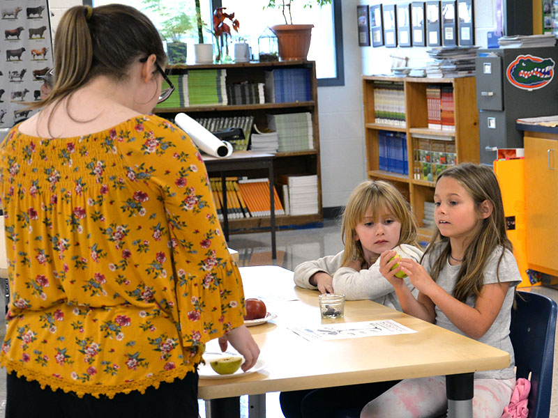 East Fannin Elementary School first graders Danielle Anders,  left, and April Messmore learn more about apples at Apple Day. 