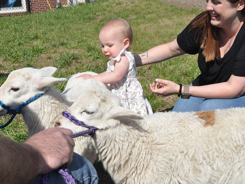 Charlotte Watkins wasn’t sure what to think of the lambs but loved reaching out and feeling their soft fur. The sheep were on hand as part of the Easter Extravaganza at Epworth First Baptist Church Saturday, March 30.