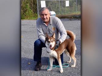 This female Husky was dropped off at Animal Control Friday, October 16. She has a brown and white coat with brown eyes. She is very well behaved. View her using intake number 294-20. She is shown with Animal Control officer J.R. Cornett.