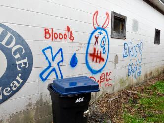 Downtown Blue Ridge businesses have been plagued by vandalism.