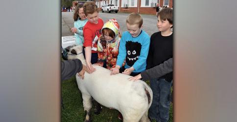 East Fannin Elementary School students Autumn Karry, Sam Hinton, Cooper Highley, Cullen Kimsey and Blayden Land, from left, pet a sheep during the Fannin County High School FFA Chapter’s Ag Day.