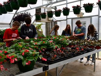 Fannin County Middle School Agriculture students will have the opportunity to sell the plants they’ve worked so hard to grow over the last year. Shown in the greenhouse are, from left, Steven Dickey, Rodney Hyde, Caroline Young, Abigail McFarland, Hunter Dickey and Jaclyn Cracknell.