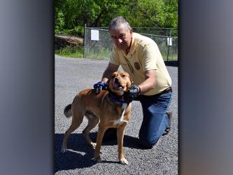 This male, Beagle/Lab mix was surrendered by his owner May 19. He has a thick, brown coat with some other coloring. View him using intake number 164-21. He is shown with Animal Control Interim Manager J.R. Cornett.