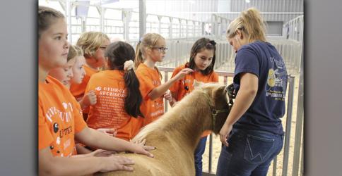 West Fannin Elementary third graders engaged with sheep, goats, pigs and this miniature horse at the Georgia Ag Experience day Thursday, September 9. Among those petting the horse are, from left, Heidi Petraroi, Hunter Barnes, Carlee Krum, Olivia O’Neal and Aeva Wilson of West Fannin Elementary School, and High School FFA member Zoe Putnam.