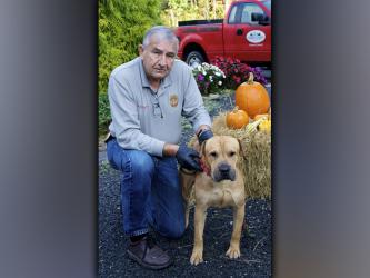 This male Shar Pei mix was picked up at Ingles in Blue Ridge Thursday, October 21. He has a blonde coat with a five o’clock shadow. View this good boy using intake number 361-21. He is shown with animal control Interim Manager J.R. Cornett.