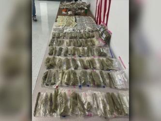 Polk County deputies seized a large amount of illegal drugs, over $20,000 in cash and a firearm in conjunction with the arrest of Larry Dwain Shaw of Etowah.