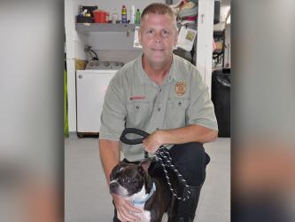 This cutie is a male Boston Terrier mix who was found in Mineral Bluff August 10. He has a black coat with white patches. He is shown with Animal Control Officer Luke McDonald. View this puppers using intake number 289-22.