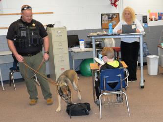 Vendy, the Fannin County Sheriff’s Office K9 trained to detect drugs, checks a backpack at Fannin County Middle School under the watchful eye of her handler, Sergeant Jacob Pless. Vendy did a walk-through of the school Wednesday. Here, Vendy and Pless are in Cindi Barnes’ classroom.
