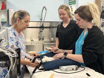 Sheryl Banks, Annabel Lillard and Alyssa Lewis prepare a patient for surgery at the Healthy Pet Clinic operated by the Humane Society of Blue Ridge. The clinic opened its doors March 27 with a goal of providing basic veterinary care to low income residents. Initially, the clinic planned to only serve Fannin County, but its organizers have decided to expand services to Polk and Gilmer County residents.