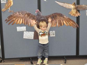 Brooks Welker was very excited seeing the life-sized cutouts of birds at the Fannin County Public Library. He stretched out to see if his arms were as long as the Turkey Vulture’s wings. 